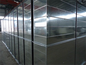 济南99精品国产兔费观看久久水蜜桃罩