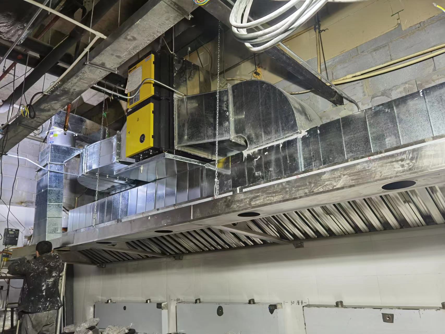 济南99精品国产兔费观看久久水蜜桃罩